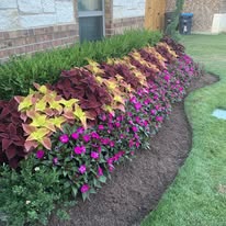 Lawn Care Work
